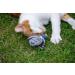 Petface Catkins by Petface Dudley Duck Cat Toys - Interactive and Fun Cat Playthings - Buy Online on GoSupps.com