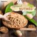 Nortembio Nutmeg Powder 100 g. 100% Natural Origin. Ground Nutmeg Without Preservatives or Additives. Special for Pasta Sauces and Bechamel. Zip Closure Packaging. - Buy Online on GoSupps.com