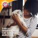 Arm & Hammer for Pets 2-in-1 Deodorizing Cat Dander Remover - Natural Ingredients - 20 Fl Oz - Buy Online on GoSupps.com