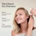 Act+Acre Plant-Based Dry Shampoo - Natural Unscented Powder Spray with Fulvic Acid and Rice - 30% Bigger Size for Oily Hair, Volume Restoration - All Hair Types - Buy Online on GoSupps.com