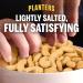 PLANTERS Lightly Salted Cashew Halves & Pieces 8 oz Canister | Roasted in Peanut Oil, Seasoned with Sea Salt | Perfect Snack for Adults | Resealable Lid for Freshness | Kosher - Buy Online on GoSupps.com