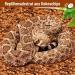 Riare 2 Pack Natural Coconut Earth Substrate for Reptiles - Humus Litter for Turtles Snakes Scorpions & Spiders - 2 x 650g - Buy Online on GoSupps.com