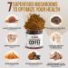 La Republica Organic Decaf Mushroom Coffee with 7 Superfood Mushrooms 2.12oz - Lion's Mane, Reishi, Chaga, Cordyceps & More - Buy Online on GoSupps.com
