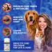 Arava Pet Eye Wipes - 100 Count - Natural Aromatherapy Medicated for Dogs Cats - Removes Dirt Crust Discharge - Prevents Tear Stains Infections & Irritations - Buy Online on GoSupps.com