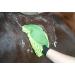 Lucfor Grooming Glove | Effortlessly Clean Pet Fur & Pamper Your Pet | International Shipping - Buy Online on GoSupps.com