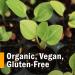 Herb Pharm Organic Alcohol-Free Oat Seed Glycerite - 1 Fl Oz - Nervous System Support - Buy Online on GoSupps.com
