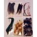Fly Tying Feather and Dubbing Bulk Starter Kit - Essential Materials for Beginners - Buy Online on GoSupps.com
