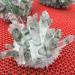 Specimen Healed Natural Green Ghost Phantom Quartz Crystal Cluster Specimen As a Gift ERTEYIN - Buy Online on GoSupps.com