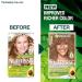 Garnier Nutrisse 7.3 Dark Golden Blonde Hair Dye - Natural-Looking Color for All Hair Types - Buy Online on GoSupps.com
