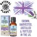 English Cotswold Lavender 15ML Essential Oil - 100% Pure, Undiluted & Therapeutic Grade - Buy Online on GoSupps.com