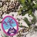 Aussie Hydrate Miracle Shampoing Apr s-shampoing Et Soin Intensif Hydratants Pour Cheveux Secs L'Huile De Macadamia Hydrate miracle routine - Buy Online on GoSupps.com