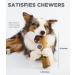 Petstages Large Dogwood Chew Toy - Wood Alternative Dog Toy for Big Dogs - Buy Online on GoSupps.com