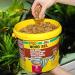 JBL Pronovo BEL Flakes - Premium Fish Feed for 8-20 cm Aquarium Fish | 5.5L 950g | Nutritious Flakes for Healthy Growth - Buy Online on GoSupps.com