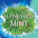 Soft Scrub 4-in-1 Toilet Care with Bleach - Alpine Fresh - 100g | Powerful Cleaning & Odor Control - International Shipping Available - Buy Online on GoSupps.com