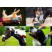 DR Zoo Size M Grooming Gloves for Dogs Cats & Horses | Best Pet Grooming Tools - International Shipping - Buy Online on GoSupps.com