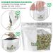 Tealyra Premium White Silver Needle Tea - Organically Grown in Fujian China - Superior Chinese Silver Tip White Tea - Low Caffeine - 110g 4oz Pack - Buy Online on GoSupps.com