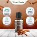 Viva Doria Organic Ceylon Cinnamon Bark Oil - 100% Pure Food Grade Essential Oil 15 mL | Natural & Undiluted Aromatherapy - Buy Online on GoSupps.com