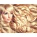 Color Boost Blonde Depositing Conditioner 8.5 oz - Enhance, Add Color, or Cover Gray Hair - for All Shades of Blonde - Buy Online on GoSupps.com