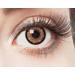 Aricona Brown Contact Lenses - Annual Colored Lenses for Big Eyes Effect | Non-Prescription - 2 Pieces - Buy Online on GoSupps.com