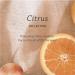 Pharmacopia Citrus Shampoo 16 oz - Vegan & Organic Aromatherapy Hair Care | Cruelty-Free, Paraben & Sulfate-Free - Buy Online on GoSupps.com