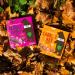 BEAR Forest Fruit Bars - Healthy Fruit Oat and Nut Snack - 27g (48 bars) - Buy Online on GoSupps.com