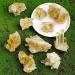 Natural Raw Calcite Crystal Cluster Geode Stone Irregular Specimen Gemstone Crystal Cluster for Reiki Home Decoration 400g Gift (Color : 300g) - Buy Online on GoSupps.com