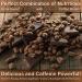Buddha's Cup Semi-Sweet Chocolate Covered Peaberry Coffee Beans - 100% Kona Coffee, 8oz Bag - Buy Online on GoSupps.com
