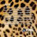 Buy Primal Elements Leopard Soap Loaf - 88 Ounce Brown | Luxury Vegan Soap for International Shipping - Buy Online on GoSupps.com