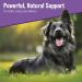 Canine Matrix Healthy Pet Mushroom Powder 7.1 oz - Natural Dog Supplement for Wellness - Buy Online on GoSupps.com
