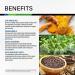 Organic Boswellia Curcumin Capsules - Immunity & Cognitive Support - Vegan & Non-GMO - 2100mg - 100 Capsules - Buy Online on GoSupps.com