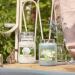 Yankee Candle Camellia Blossom | Garden Hideaway Collection | Large Candle | Up to 150 Hours Burn Time | International Shipping Available - Buy Online on GoSupps.com