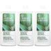 Desert Essence Tea Tree Mouthwash 16 fl oz Refill - Pack of 3 | Natural Oral Care - Buy Online on GoSupps.com