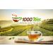 Tropenhimmel nat rlich - magenmilder Fr chtetee mit nat rlichem Aroma-500g - Buy Online on GoSupps.com