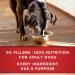 Purina ONE Senior Wet Dog Food Healthy Aging 7+ Turkey & Barley Entree - 368 g Can - Buy Online on GoSupps.com