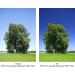 B+W 82mm Circular Polarizer Filter - HTC Kaesemann, 16-Layer MRC Coating, Photography Filter - Buy Online on GoSupps.com