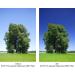B+W 67mm Circular Polarizer Filter - MRC Coating, High-Quality Glass - Buy Online on GoSupps.com