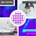 Buy Brandson Pet Creeping Tector - UV Black Light Flashlight with 21x LEDs | Energy Efficient Ultraviolet Lamp for Pet Stains & More - Buy Online on GoSupps.com