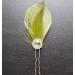 Bridal Bridesmaid Feather Hair Grip Prong Olive Green and Gem Hair Piece - Buy Online on GoSupps.com