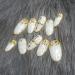 Custom Salon Made Artificial Acrylic Gel Nails - Hand Painted & Glue-On Crystal Designs in S/M & D-2 Sizes - Buy Online on GoSupps.com