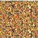 Wild Harvest Advanced Nutrition Parrot 8lb Bag - Premium Parrot Food Blend - Buy Online on GoSupps.com