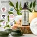 PURA D'OR Organic Massage Therapy Oil (16oz) - USDA Certified Blend of Almond, Apricot, Argan, Ginger, Jojoba, and Lavender Oils for Silky Skin - Body Moisturizer & Skin Lubricant - Buy Online on GoSupps.com