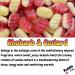 Rhubarb & Custard Whipped Soap Body Wash - 150g - Natural Oils and Butters - Sweet Scent - Vegan Friendly - Puddle of Wax - Made in the UK - Buy Online on GoSupps.com