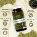 Wheatgrass Powder 100g - Rich in Vitamin C & E | Antioxidant & Detox Superfood for Body & Skin - Buy Online on GoSupps.com