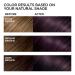 L'Oreal Paris Feria 521 Cool Amethyst Permanent Hair Color - Shimmering Multi-Faceted Dye - Buy Online on GoSupps.com