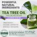 Kesmedik Pure Tea Tree Oil Body & Foot Scrub Himalayan Salt Exfoliating Scrub with Stem Cells & Shea Butter Antifungal Defense Acne Support Itchy Skin Relief Removes Dead Skin & Rough Patches - Buy Online on GoSupps.com