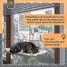 Selify Cat Window Perch - Extra Large & Sturdy, Free Fleece Blanket & Toy, Holds Two Large Cats, Easy to Assemble - Buy Online on GoSupps.com