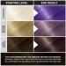 Punky Violet Vegan Semi Permanent Hair Dye - Non-Damaging, PPD and Paraben Free, Easy to Apply Hair Color - Transform Your Hair with Vibrant Violet Shade - Lasts up to 35 Washes - 3.5 Fl Oz - Buy Online on GoSupps.com