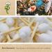Bamboo Gang Baby Cotton Swabs - 220 Eco-Friendly Biodegradable Ear Sticks with Safety Head | Sustainable Bamboo & Cotton Alternative to Plastic - Buy Online on GoSupps.com