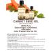 CARROT SEED OIL 100% Pure/Natural/Extra Virgin/Unrefined/Cold Pressed/Undiluted Carrier Oil. 0.17 Fl.oz.- 5 ml. Skin Body and Hair Care. by Botanical Beauty - Buy Online on GoSupps.com