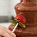 Meta Title: Wilton Chocolate Pro Fountain Fondue Chocolate - 2LB for Chocolate Fountains - Buy Online on GoSupps.com